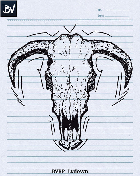 Rollerball Pens | Digital Brushes